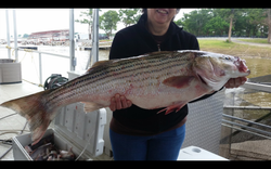 Lake Texoma Fishing Guides